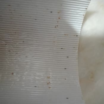 Ülker Paketin İçinden Canlı Böcekler Çıkması