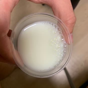 Mis Aldığım Sütün Bozuk Çıkması