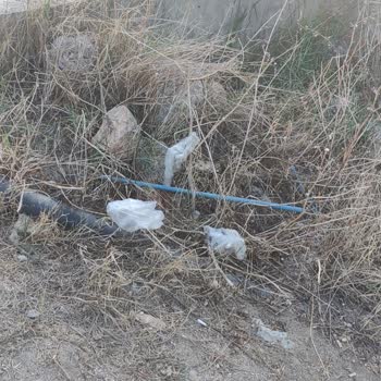 Antalya Büyükşehir Belediyesi Kirlilik İle Alakalı
