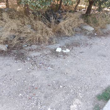 Antalya Büyükşehir Belediyesi Kirlilik İle Alakalı