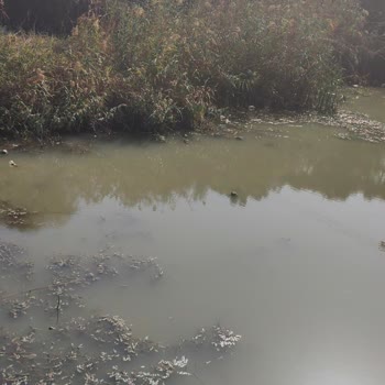 Antalya Büyükşehir Belediyesi Kirlilik İle Alakalı