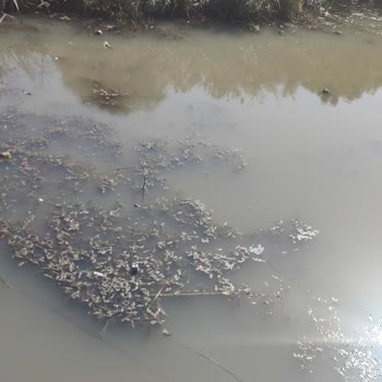 Antalya Büyükşehir Belediyesi Kirlilik İle Alakalı