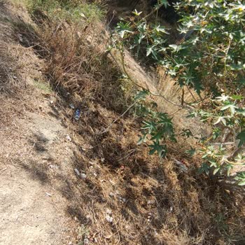 Antalya Büyükşehir Belediyesi Kirlilik İle Alakalı