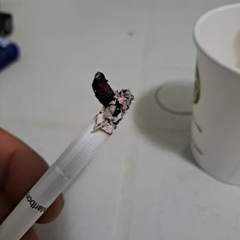 Philip Morris Sigaranın İçinden Ağaç Talaşı Çıkıyor
