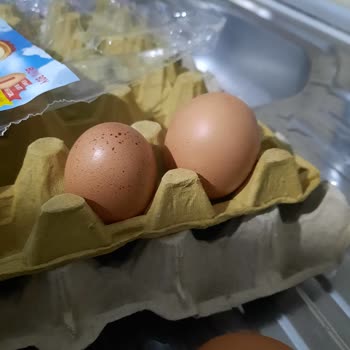 Yılpa L Boy Yumurta Küçücük