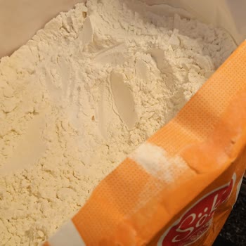 Söke Unda Kurt Çıkması