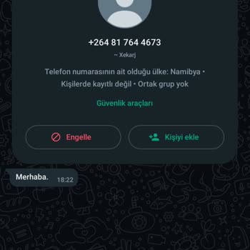 WhatsApp' Şirket Olarak Gizlilik İlkelerine Uyuyor Mu?