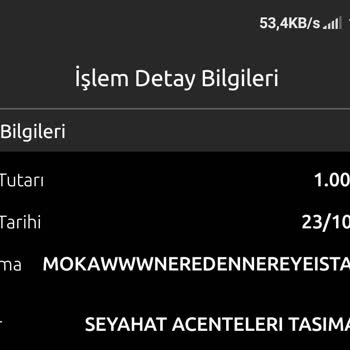 Neredennereye.com Bilet Ücretinin İadesi Yapılmadı