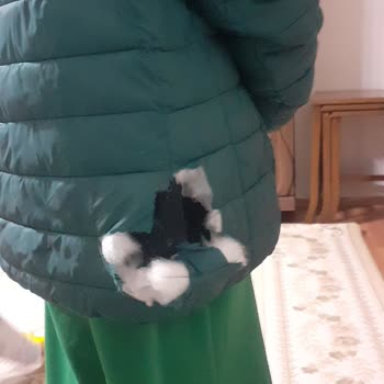 Pendik Belediyesi Oğluma Sokak Köpekleri Saldırdı