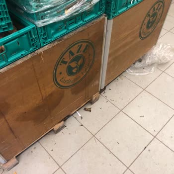 Şok Marketler Ankara ODTÜ Çarşı Hijyen Ve Benzeri Birçok Problem