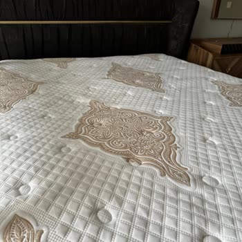 Bellona Yatakta Beklenmedik Çökme Sorunu