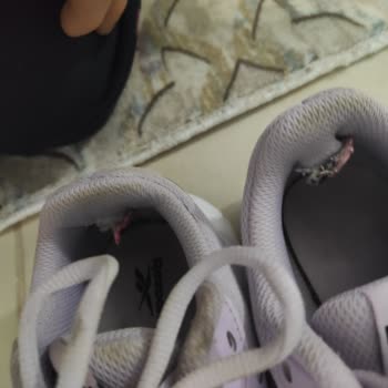 In Street Reebok Ayakkabının İçinin Parçalanması