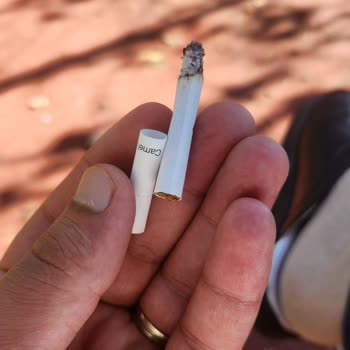 Camel Deep Blue Tekel Sigara Olmuş Sarma Tütün