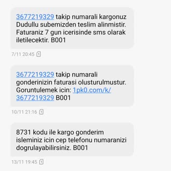 Pamukkale Kargo Fatura Görüntüleme Linki Açılmıyor