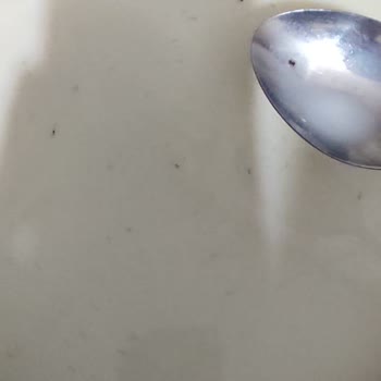 BİM Dost Sütün İçindeki Böcekler