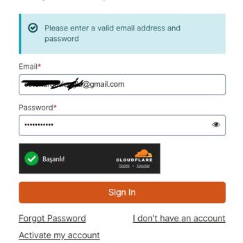 VFS Global Giriş Yapamama Sorunu