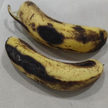 Cepte Şok Eksik Ve Çürük Ürün Gönderimi