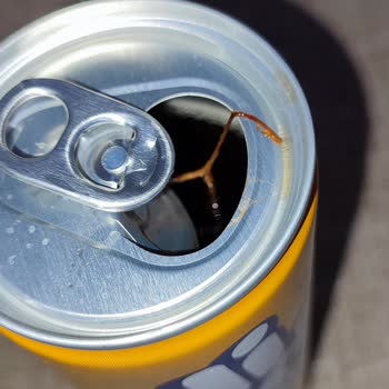 Didi Soğuk Çay Şeftali 250 Ml