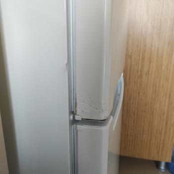 Profilo CGA242X1TR Çamaşır Ve BD3055WFVN Buzdolabı Paslanma/Kabarma