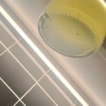 Schweppes İçinde Neler