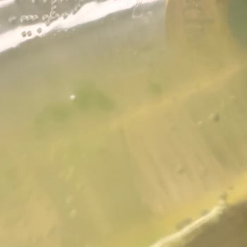 Schweppes İçinde Neler