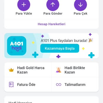 A101 Hadi Puanlarım Gözükmüyor