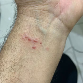 Welder Watch Welder Moody Saat Kalitesiz Kordon