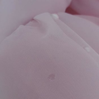 Larissa Gogel Değişim Talebi Hayal Kırıklığına Dönüştü