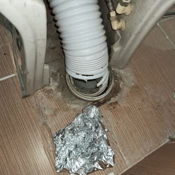 İBB - İstanbul Büyükşehir Belediyesi Lağım Faresi Eve Çıkıyor, İlaçlama İstiyoruz