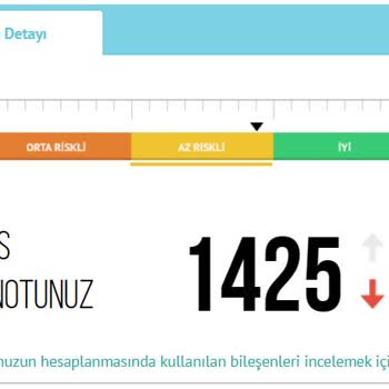 Findeks Kredi Notumu Hangi Nedenlerde Düşürdü.