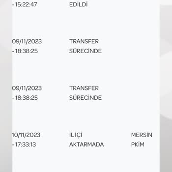 PTT Kargo Mersin Yenişehir Akkent PTT Şubesi Müdür Ve Kurye Görevini Yapmıyor