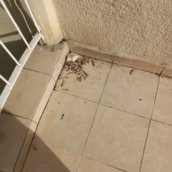 Dr. Behçet Uz Çocuk Hastalıkları ve Cerrahisi Eğitim ve Araştırma Hastanesi Çok Pis Bir Hastane