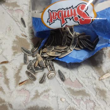 Simbat Kuruyemiş BİM Çekirdek Şikayeti 04.11.2023