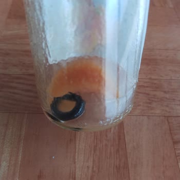 Aroma Meyve Suları Şişesinde Yabancı Madde