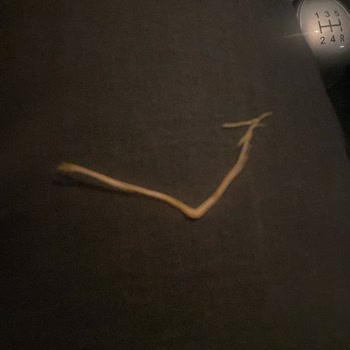 Lays Yoğurtlu Yabancı Cisim Çıktı