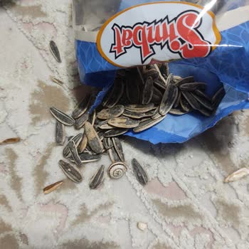 BİM'den Aldığım Çekirdekten Sümüklü Böcek Çıktı