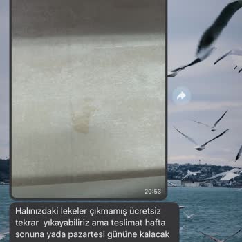 Royal Halı Leke Çıkmaması