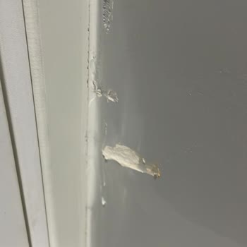 Mol Orman Ürünleri Kalitesiz Kapı!