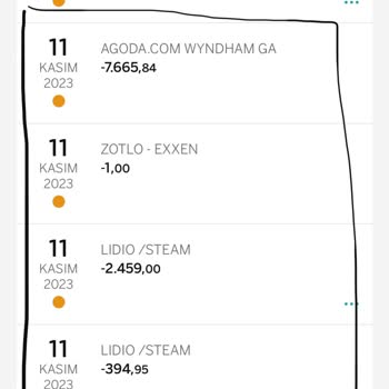 Lidio Ödeme Hizmetleri Kredi Kartımdan Bilgim Dışında Harcama Yapılması