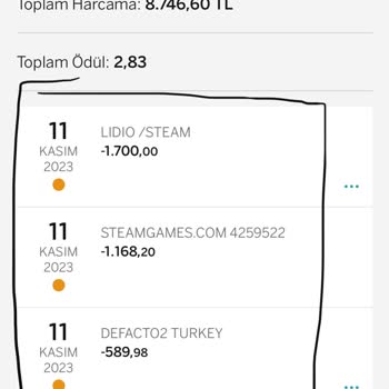 Lidio Ödeme Hizmetleri Kredi Kartımdan Bilgim Dışında Harcama Yapılması