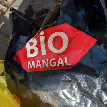 Bio Mangal Kömürü Toz Durumda