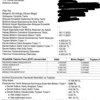 Garanti BBVA Emeklilik ve Hayat Emeklilik Fonum Nerede?
