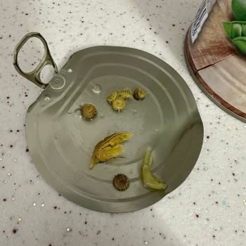 Tat Gıda Tat Marka Bezelyenin İçinden Çıkana İnanamayacaksınız 👀