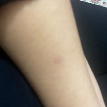 Bargello Perfume Yanlış Ürün Kullandırıldı