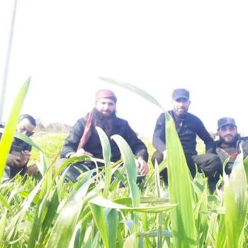 Turkcell Kullanılmış Telefon Hattı Satıyor