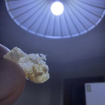 Tarım Kredi Kooperatif Market Cips Paketinden Kıl Çıktı