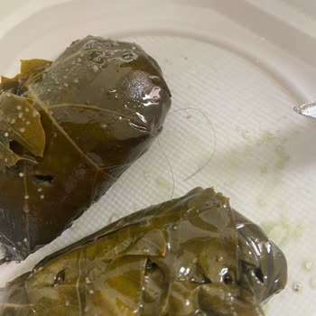 Yurt Konserve Yaprak Sarmasında Saç Çıktı