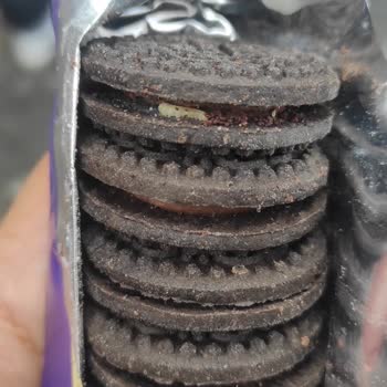 Torku Premio Kurt Çıktı