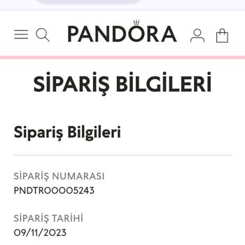 Pandora Mücevher Teslim Edilmeyen Ürün