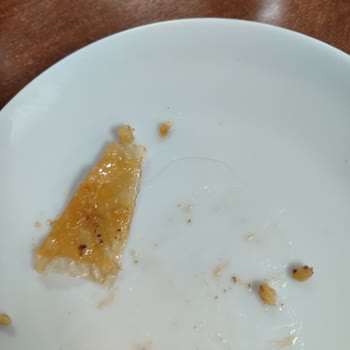 Kredi ve Yurtlar Kurumu Yemeğin İçinden Kıl Çıktı